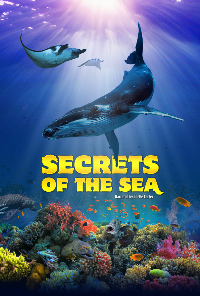 The Ocean of Secrets